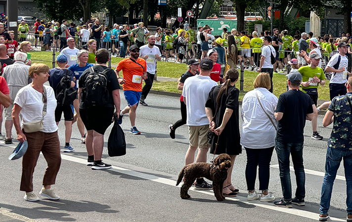 Schwebebahnlauf 2024 5